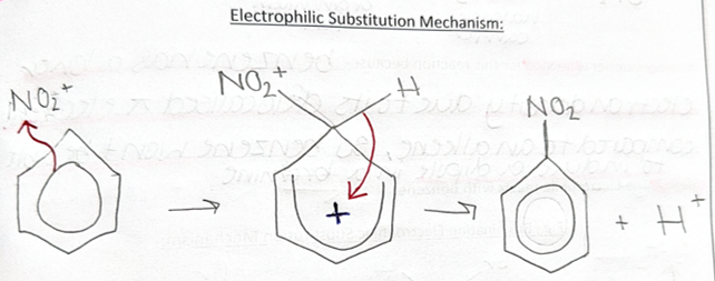 <p><strong><u>stage 1</u></strong> = creating a nitronium ion <strong>NO2+</strong></p><p>1) <span style="color: blue">H2SO4 </span>+ HNO3 ⇌ [H2NO3]+ + HSO4-</p><p>2) [H2NO3]+ ⇌ <strong>NO2+</strong> + H2O</p><p>overall = <strong>H2SO4 + HNO3 → NO2+ + HSO4- + H2O</strong></p><p><strong><u>stage 2</u></strong> = draw</p><p><strong><u>stage 3</u></strong> = <span style="color: blue">acid catalyst</span> regenerated</p><p><strong>H+ + HSO4- → </strong><span style="color: blue"><strong>H2SO4</strong></span></p>