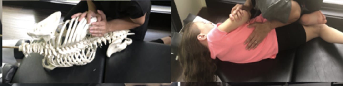 <p>PP: Basic side posture position with the dysfunctional side down-verbalize how you found the segment</p><p>DP: Modified fencer stance on side opposite dysfunction</p><p>CH: Caudal (L) hand, forearm on up-side of the sacral apex (R lateral side of sacral apex)</p><p>IH: Cephalic (R) hand slight upward traction holding the pt's up-side shoulder or overlapping hand</p><p>LOD: P-A</p>