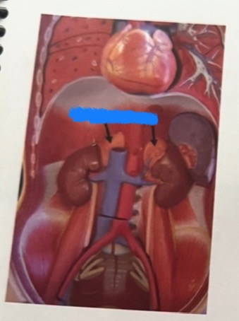 <p>What is this pointing to? </p>