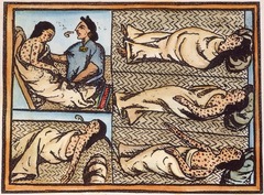 Smallpox. They didn't deliberately infect the Aztecs, who had no resistance to the disease.