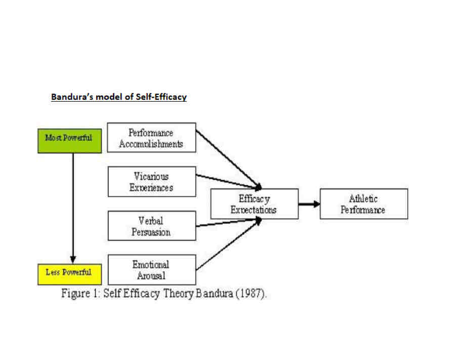 <p>Past experiences/performance accomplishments - success leads to high levels of confidence</p><p>Vicarious experiences - watching others perform a task increases confidence</p><p>Verbal persuasion - encouragement from coach/ other develops confidence</p><p>Optimal arousal - correct level of arousal builds confidence</p>