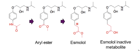 <p>add ester - introduce of labile functionality, aryl ester wasn’t hydrolysed quickly, esmolol identified, a couple more carbons away from the ring</p>