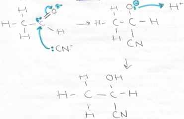 <p>reacts with <strong>cyanide ion first</strong> then <strong>intermediate </strong>reacts with<strong> H<sup>+</sup></strong></p>