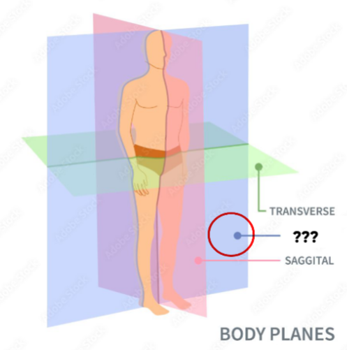 <p>Vertical plane dividing body into anterior &amp; Posterior parts</p>