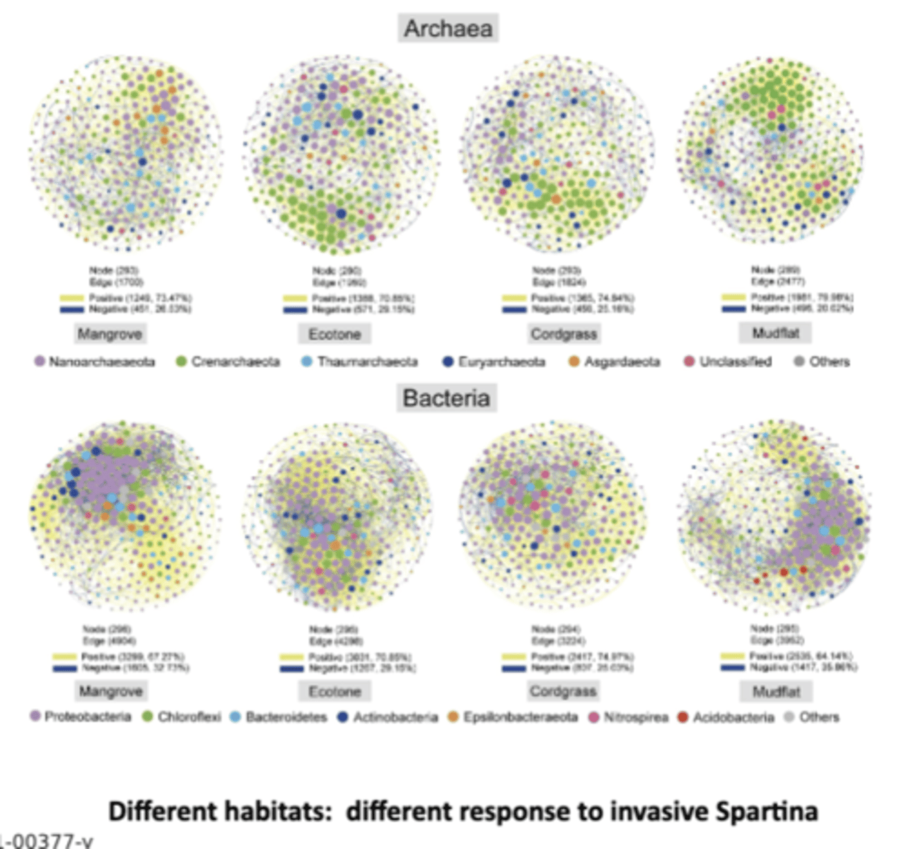 <p>Blue carbon is organic carbon captured and stored by marine and coastal ecosystems like mangroves, salt marshes, and seagrass beds</p><p>-despite this, found spartina degraded the ecosystem and microbiome; however, diff habitats have been found to have diff rxn to such introduction</p>