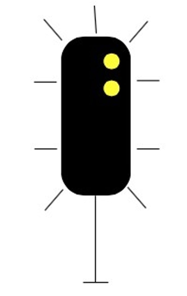 knowt flashcard image
