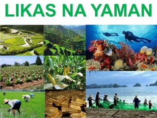 <p><strong>A:</strong> Mga likas na bagay na ginagamit ng tao sa pang-araw-araw.</p><p></p><p>Ito ay sumasaklaw sa mga materyales tulad ng lupa, tubig, at mga hilaw na yaman.Mahalaga ang mga ito sa produksyon at kabuhayan. </p>