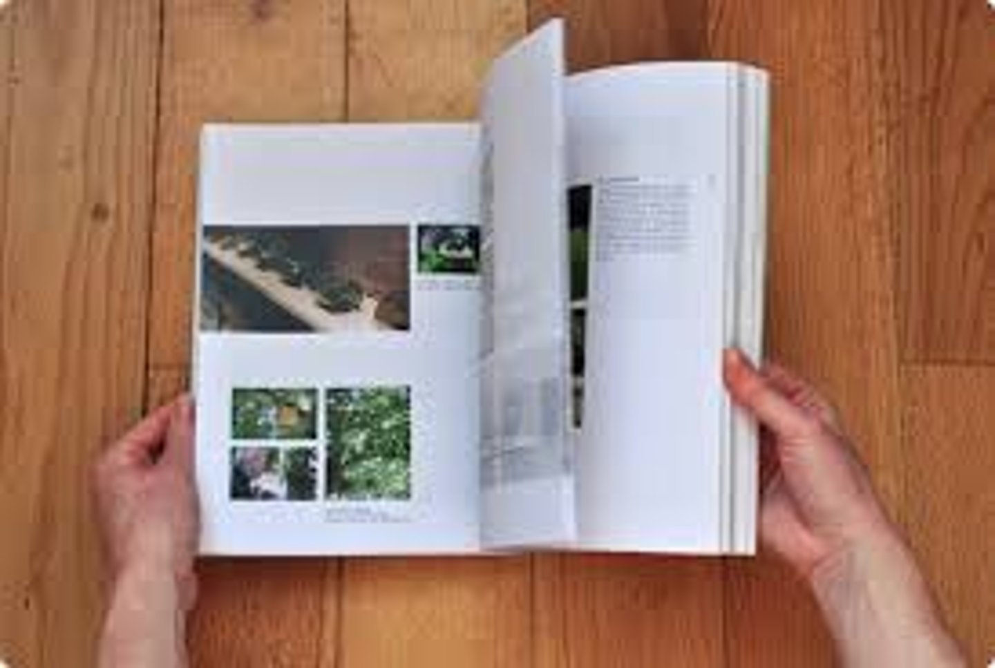<p>turn and look at the pages of magazine quickly (đọc lướt qua)</p>