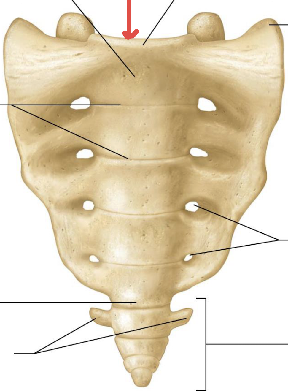 <p>what is this?</p>