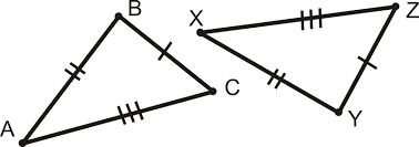 How are the triangles congruent?
