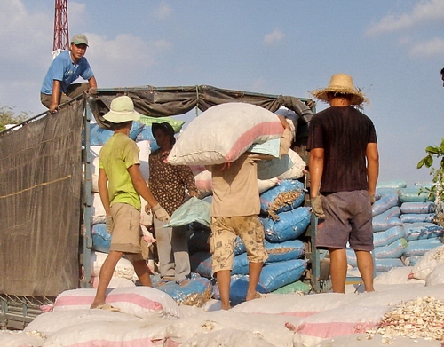 <p>Mountain/hotel/local porter</p>