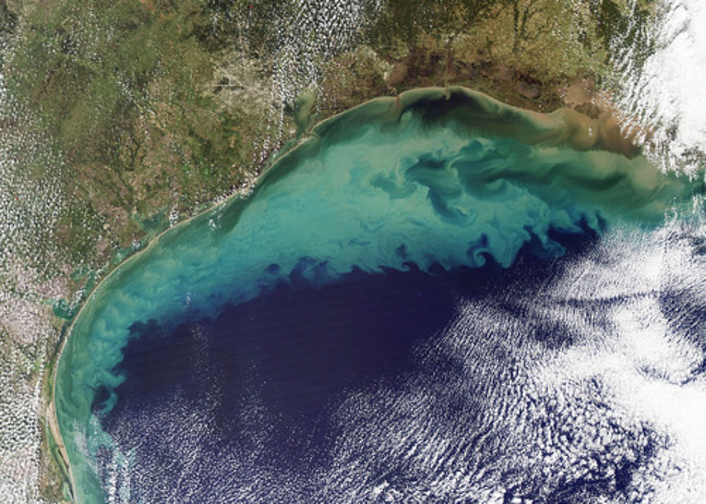 <p>a deep inlet of the sea almost surrounded by land, with a narrow mouth</p>