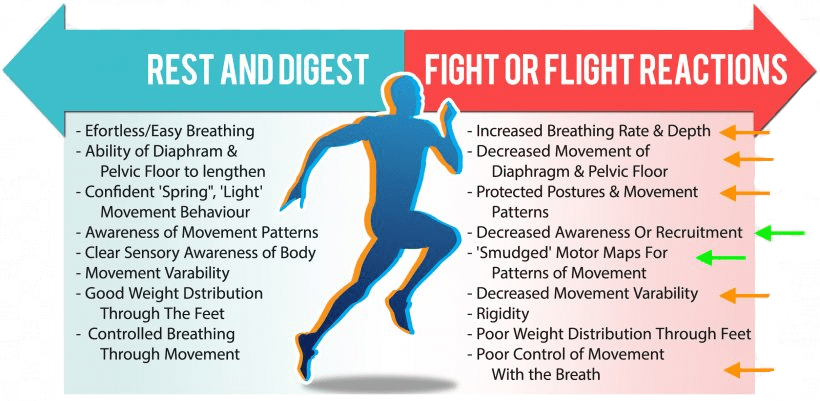 Fight or Flight Stage