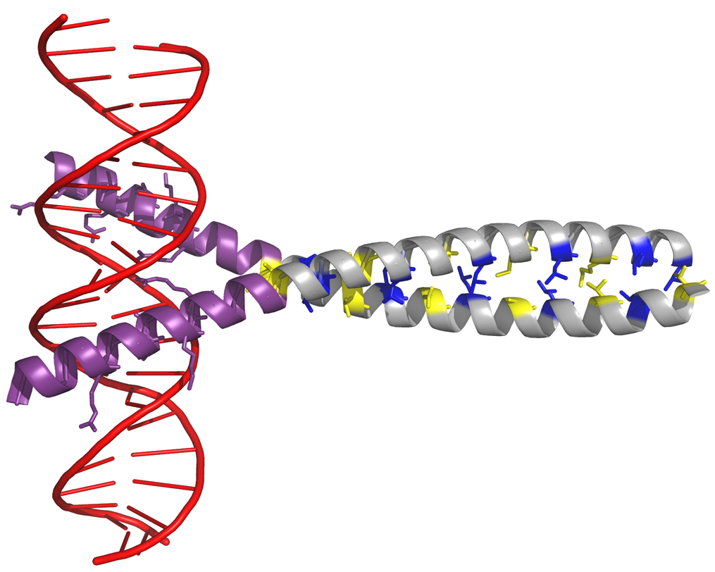 <p>Explain the context of this image.</p>