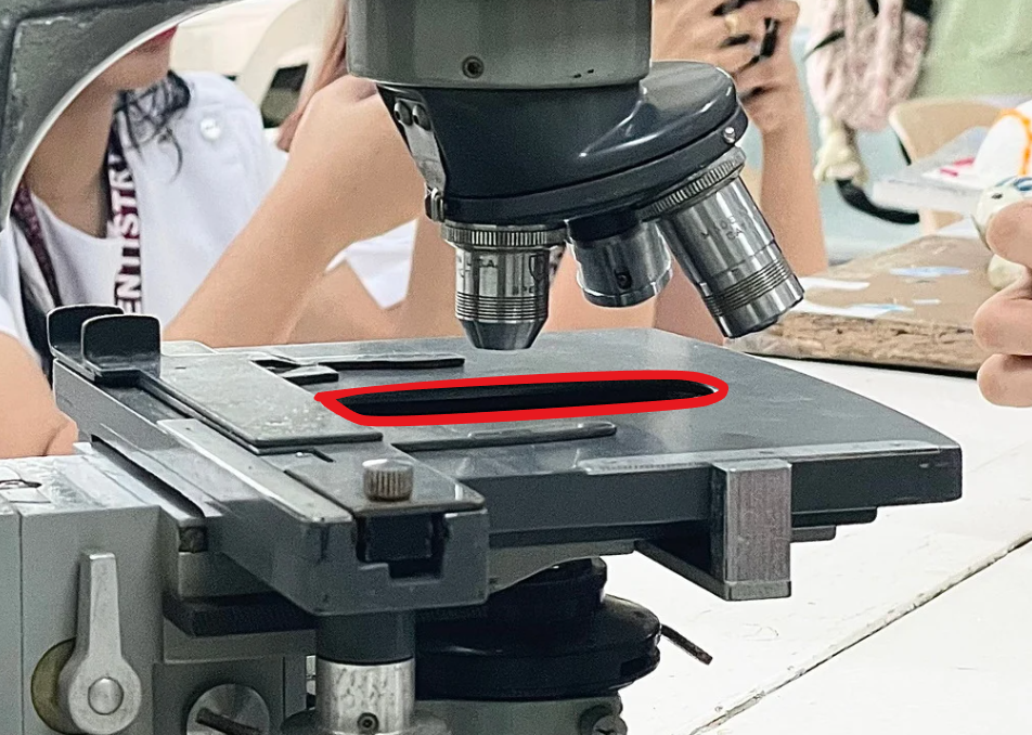 <p>Identify the microscope part</p>