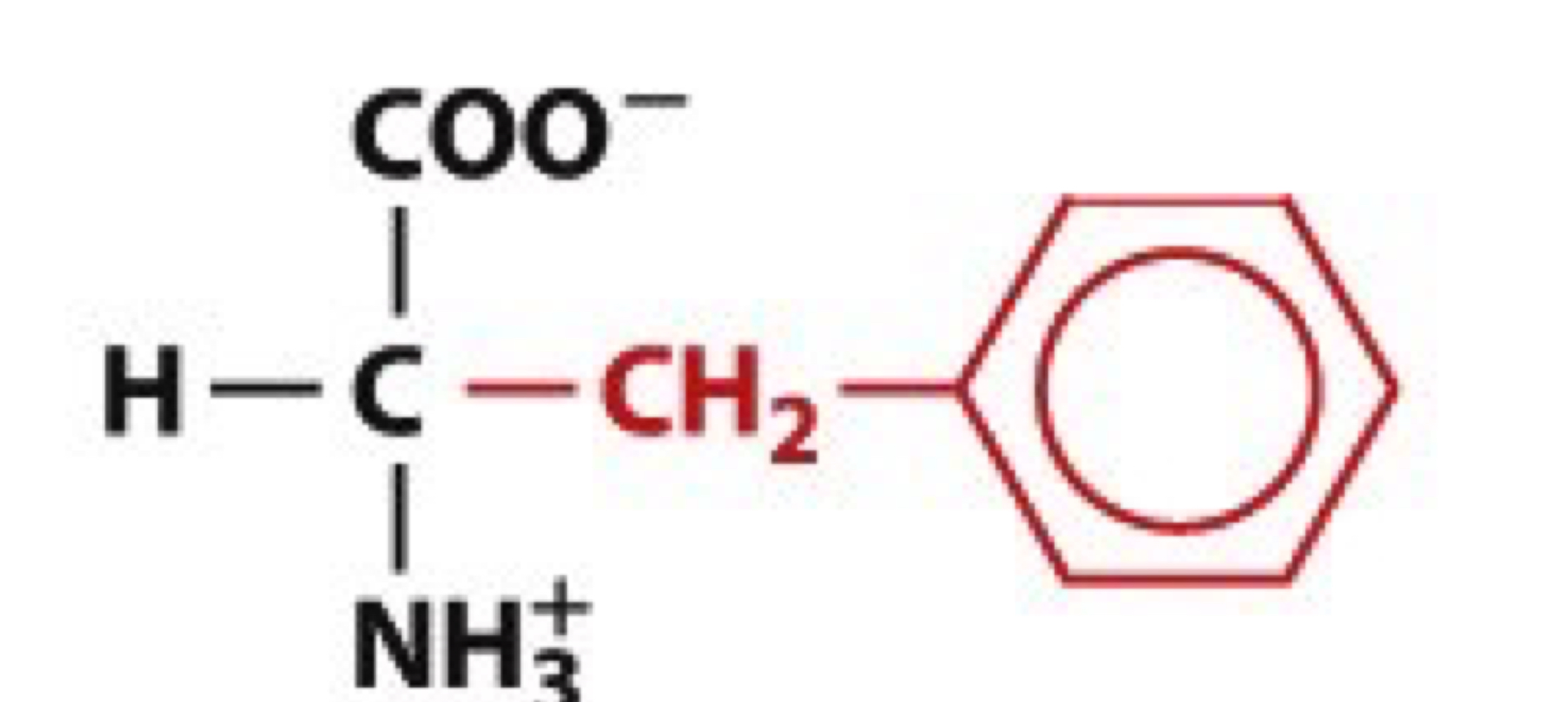 <ul><li><p>Phe, F</p></li><li><p>non-polar</p></li></ul><p></p>
