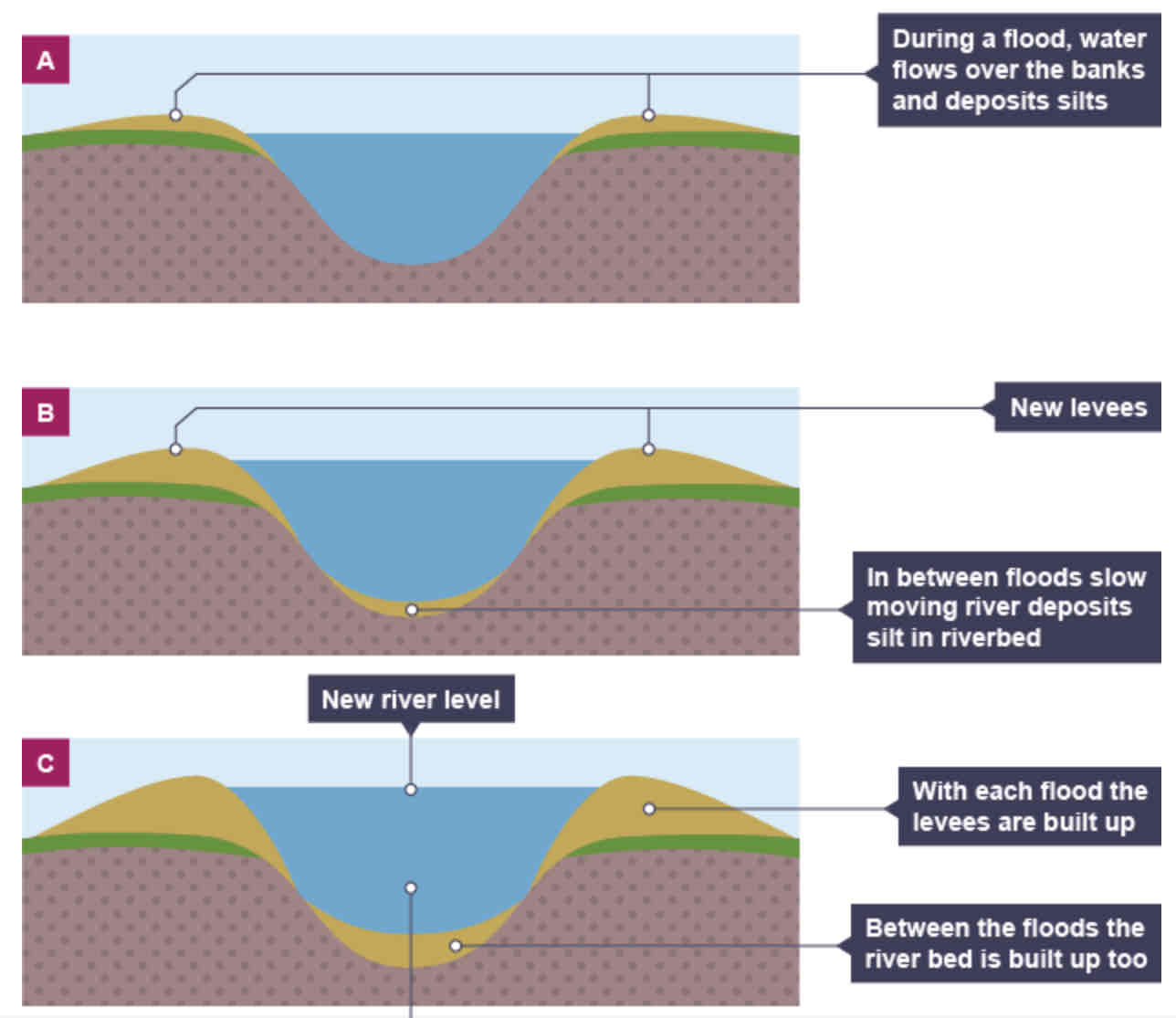 <ol><li><p>Sediment that has breen eroded further upstream is transported downstream.</p></li><li><p>When the river floods, the sediment spreads out across the floodplain.</p></li><li><p>When a flood occurs, the river loses energy.</p></li><li><p>The largest material is deposited first on the sides of the river banks.</p></li><li><p>The smaller material is deposited further away.</p></li><li><p>After many floods, the sediment build is up to increase the height of the river banks, so that channel can carry more water (greater discharge) and flooding is less likely o occur in the future.</p></li></ol>