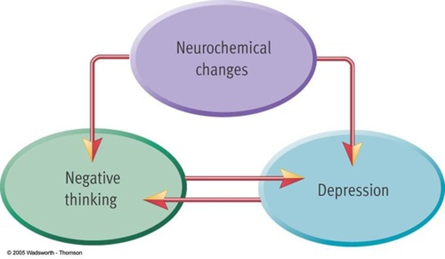 <p>Imbalances in neurotransmitters affecting mood and behavior.</p>