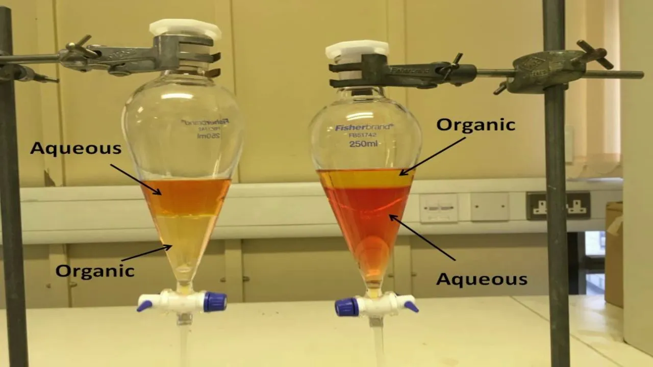 <p>Type of Funnel</p><p>Appearance - wide at the bottom and have a narrow opening at the top, Squibb or pear shape</p><ul><li><p>have a stopper on top to prevent spills</p></li><li><p>have a stopcock(valve)</p></li></ul><p>Uses - separate immiscible liquids, separate low-density liquid and high density</p><ul><li><p>not designed for filtration (solid from liquid)</p></li></ul>