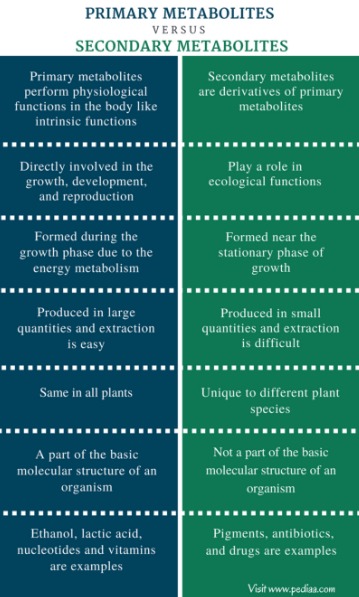 <p>Primary vs. Secondary metabolite</p>