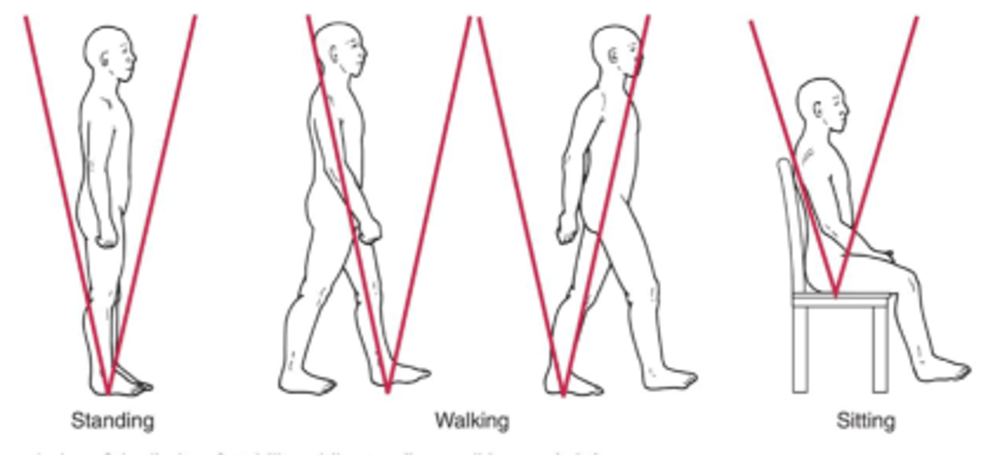 <p>The furthest distance in any direction a person can lean away from midline (vertical) without altering the original BOS (i.e. without stepping, reaching, falling)</p>