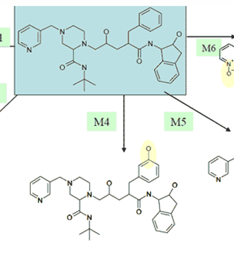 <p>para hydroxylation of mono-substituted benzene compounds</p>