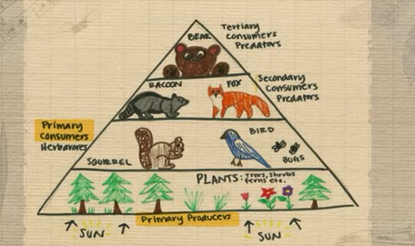 knowt flashcard image