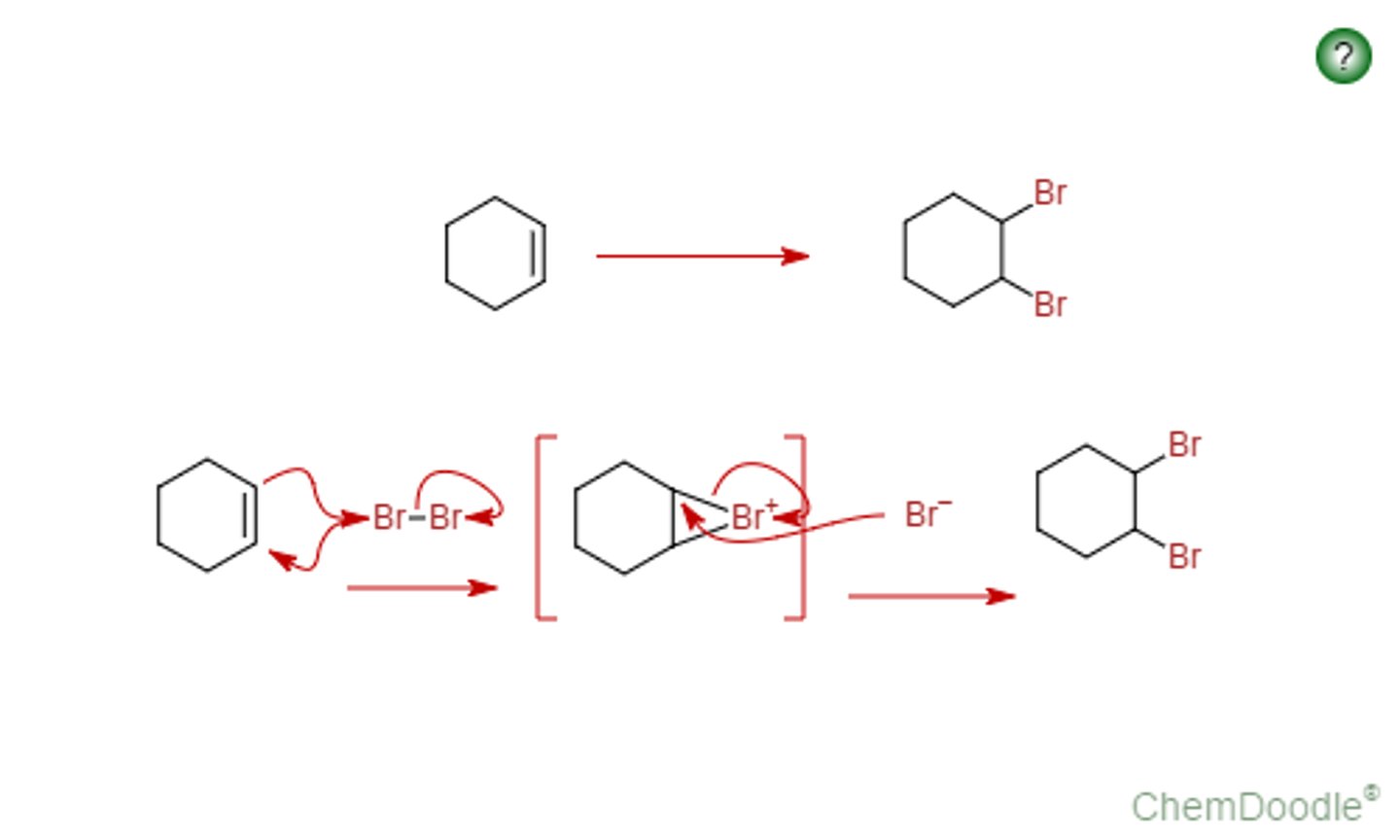 <p>Adds 2 Br's on both sides of double bond (anti)</p>