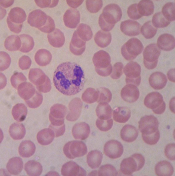 <p>what is this?</p>