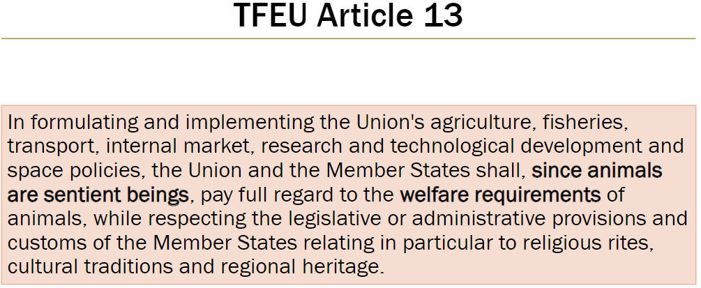 <p><strong>Key Principle</strong><br> Animals are recognized as sentient beings in EU policies on agriculture, fisheries, transport, internal market, research, technological development, and space.</p><p><strong>Obligation</strong><br> The EU and its Member States must fully consider the welfare requirements of animals.</p><p><strong>Limitations / Considerations</strong><br> Respect legislative or administrative provisions and customs of Member States<br> Including religious rites, cultural traditions, and regional heritage</p>