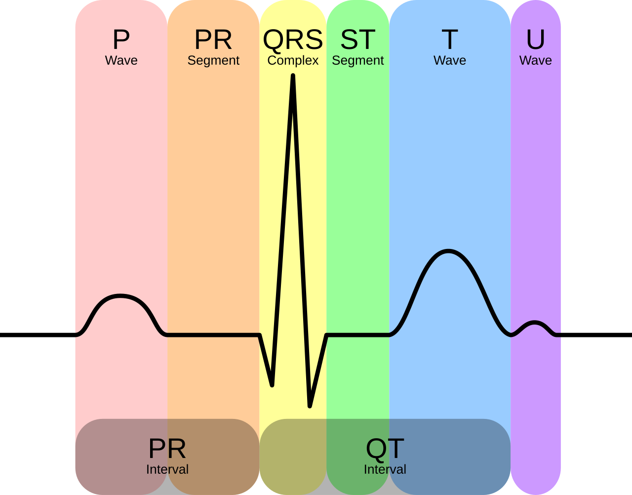 <p>što je EKG?</p>