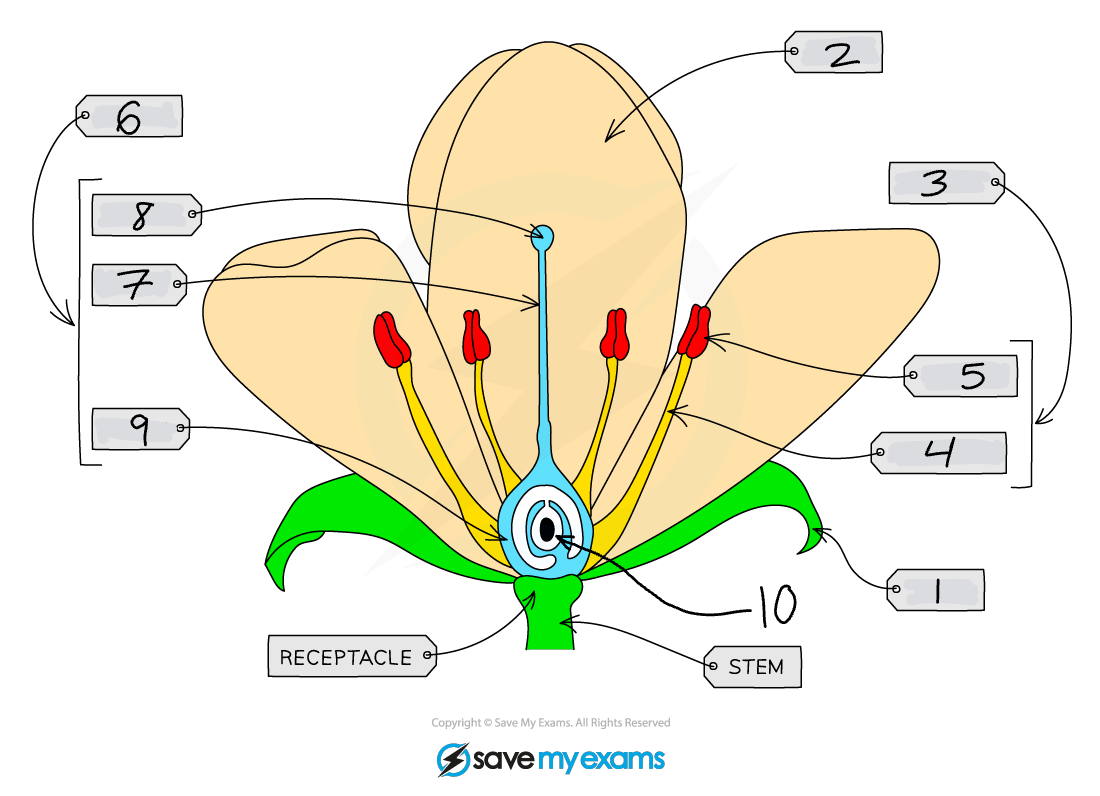 <p>What is 9?</p>