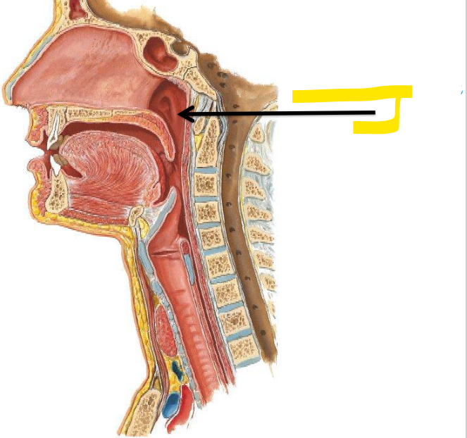 <p>Name this part </p>
