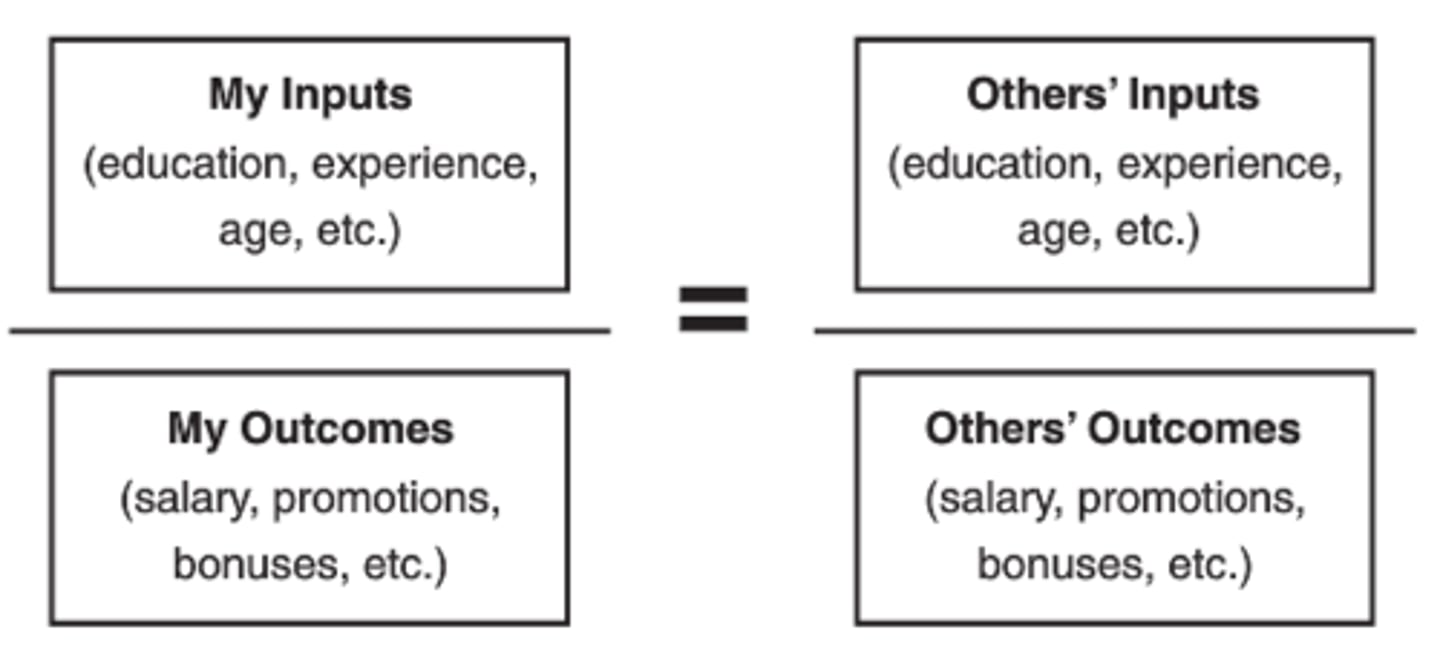 <p>Proposes that person evaluates their outcomes and inputs by comparing them to those of others (think chips ahoy scenario)</p>