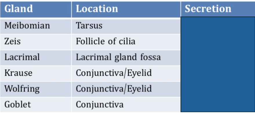 <p>Fill in the blank for the component secreted&nbsp;</p>