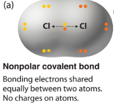 Covalent bond in which both atoms have a similar electronegativity and equally share the orbit of shared elctrons