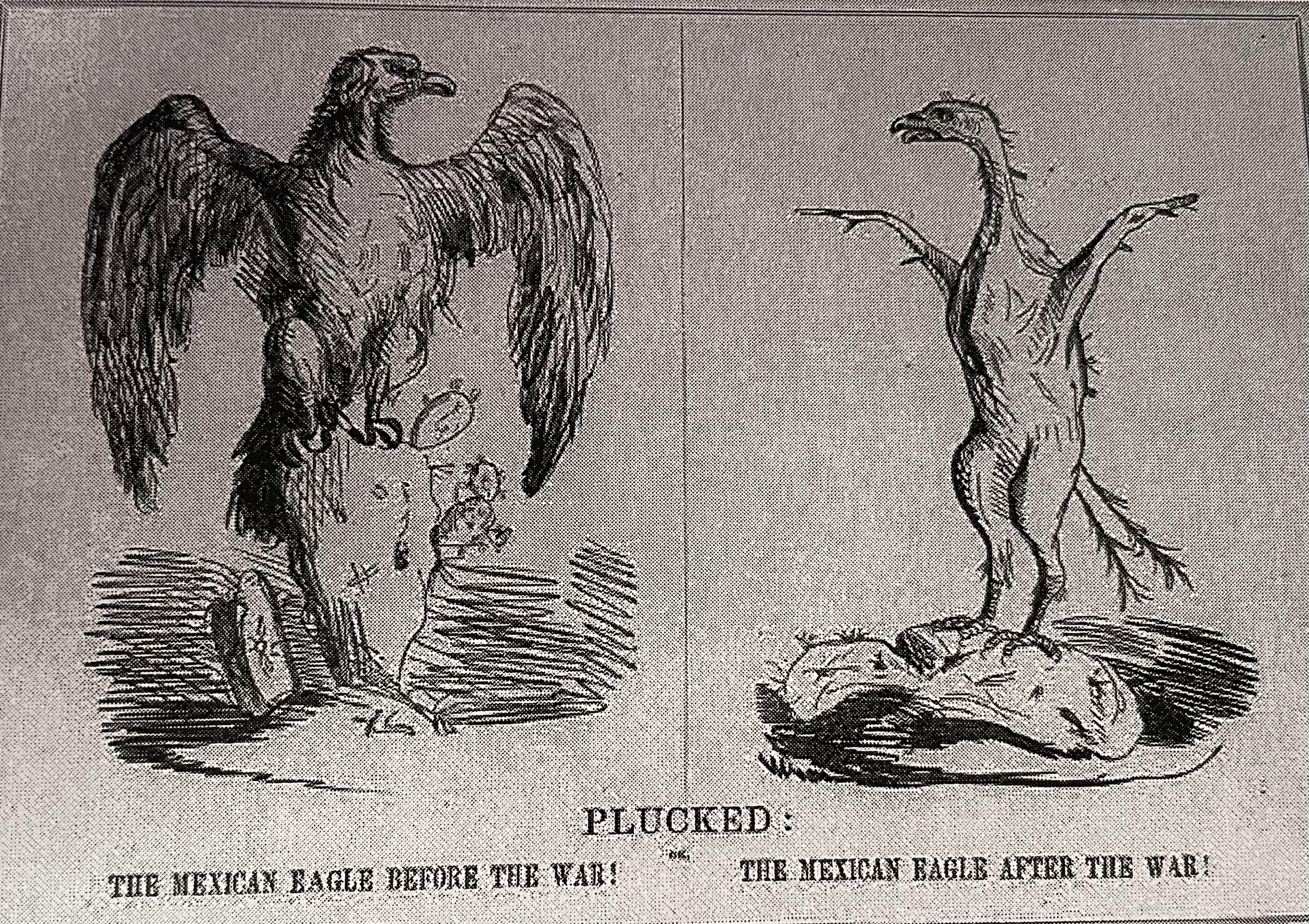 <p>Understand what the cartoon is saying about the effects of the Mexican-American war. </p>