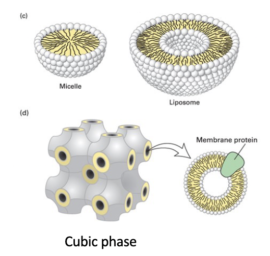<p>unnatural highly regular recurring structure </p><p>helped formation of membrane protein crystals for structure determination </p>