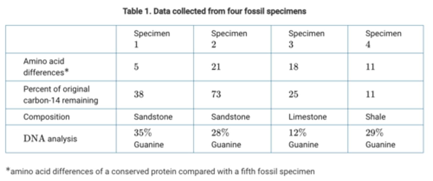 <p>D Specimen 4 </p>
