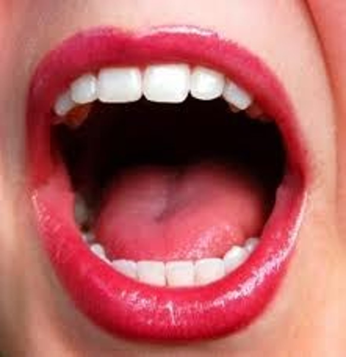 <p>Mouth</p>