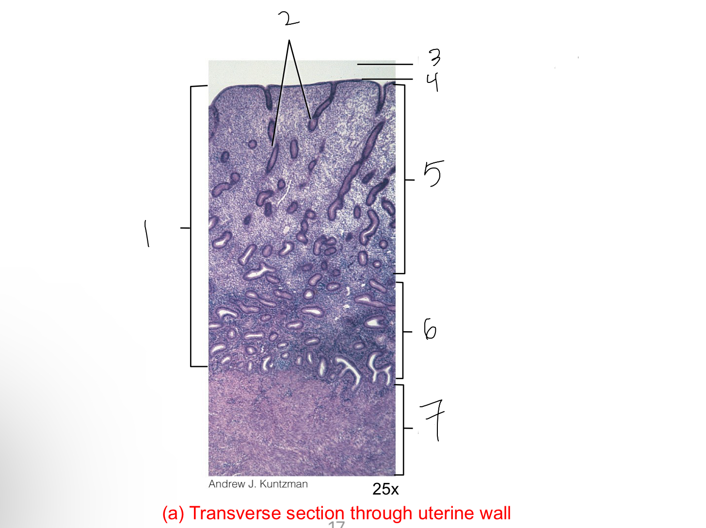 <p>2</p>