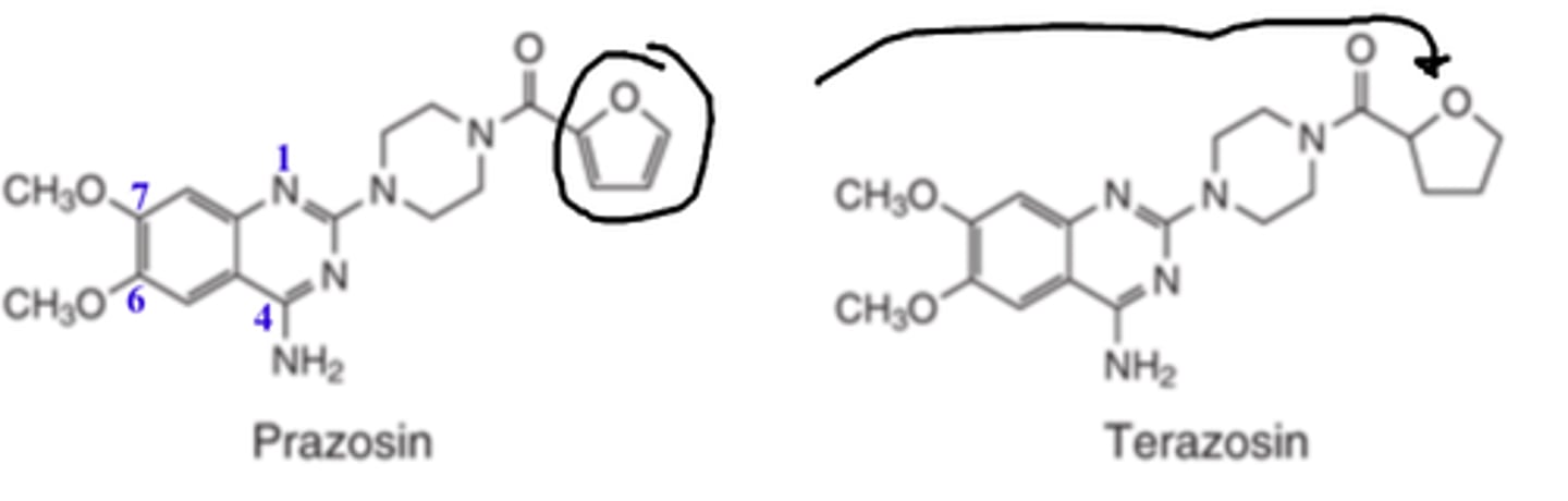 <p>- reduction</p><p>- furan ring</p><p>- INCREASES</p><p>Long-half lives and durations of actions for terazosin, doxazosin, tamsulosin, and silodosin permit once-a-day dosing and lead to increased patient compliance</p>