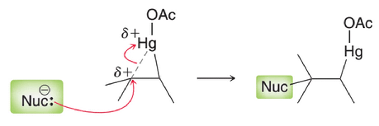 <p>The more substituted carbon atom bears a partial positive charge(+δ), rather than a full positive charge. As a result, this intermediate will not readily undergo carbocation rearrangement, but it is still subject to attack by a nucleophile. Notice in image that the attack takes place at the more substituted position, ultimately leading to Markovnikov addition</p>