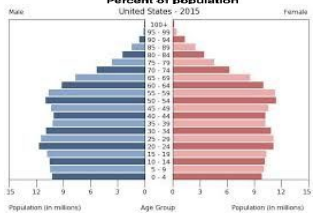 <p>What type of population pyramid is this?</p>