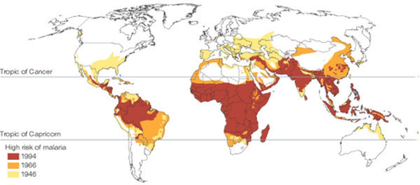 <p>Globally an estimated 249 million malaria cases and 608,000 malaria deaths in 85 countries (2022)</p>
