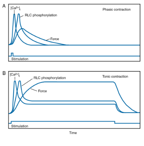 <p>Describe these two images</p>