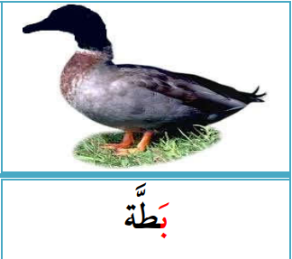 <p></p>