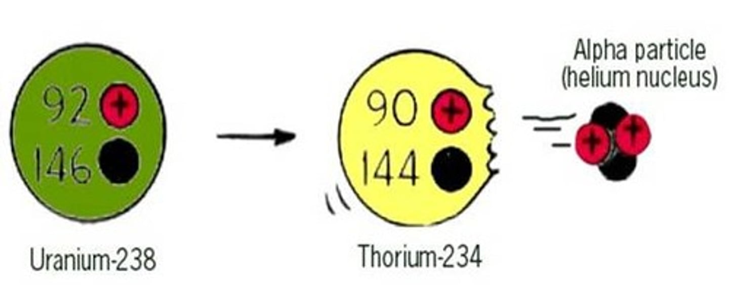 <p>4/2He2+ emitted from nucleus, subtract 2 protons and 2 neutrons</p><p>larger nuclei more likely to undergo, less dangerous</p>