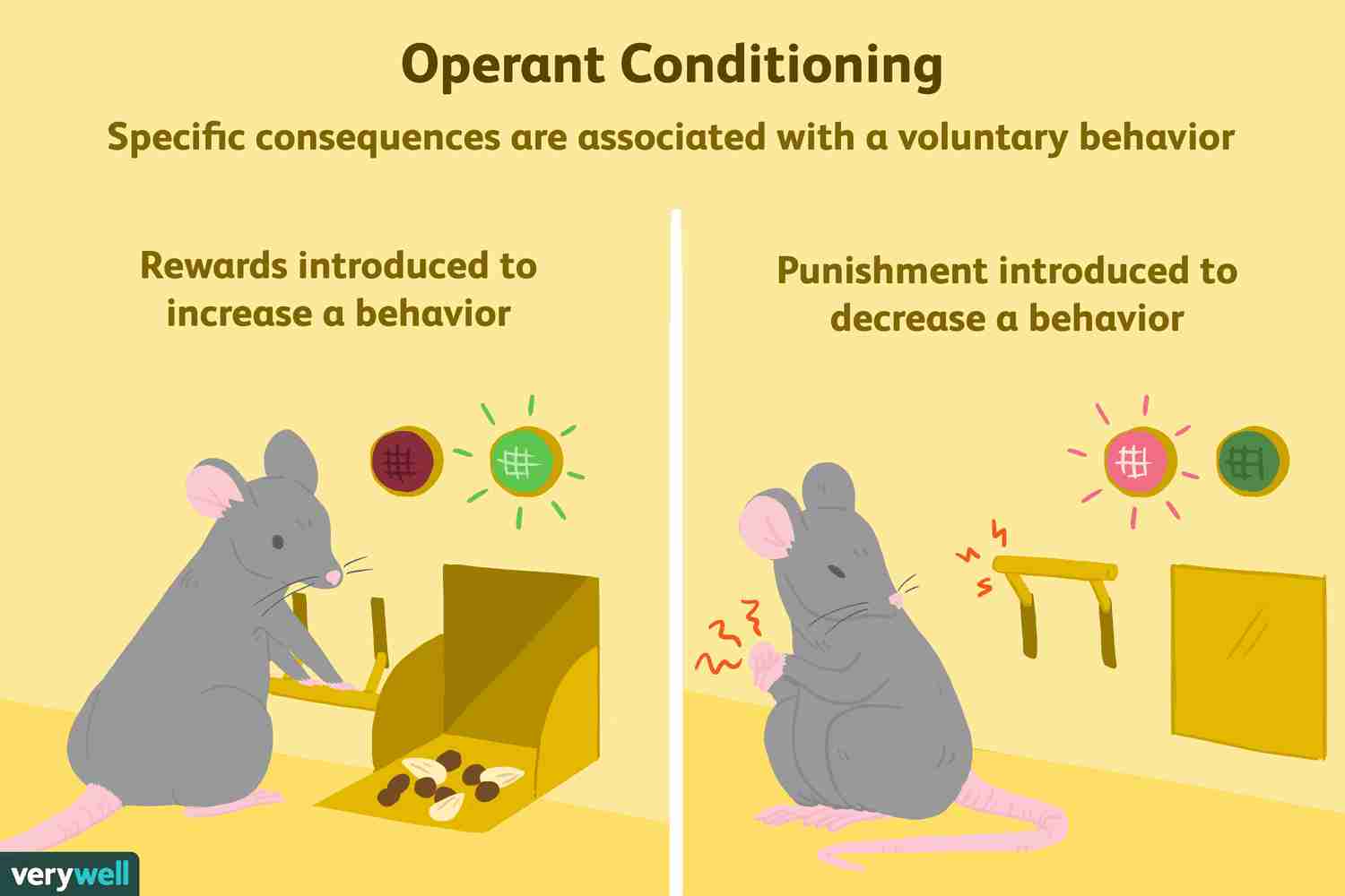 <p>what is this type of conditioning?</p>