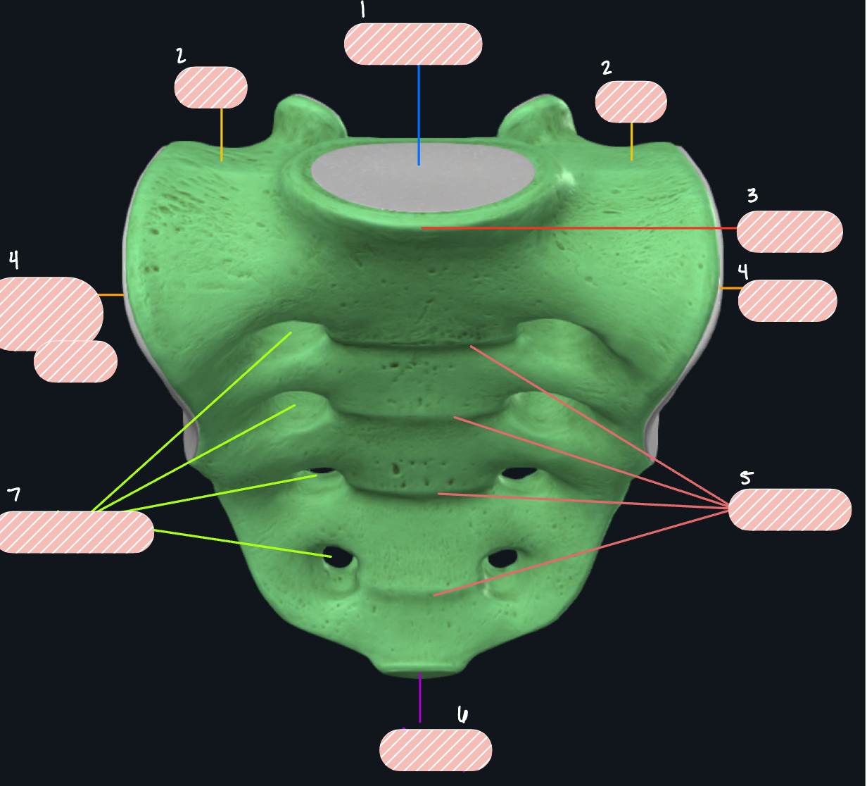 <p>Label 5</p>